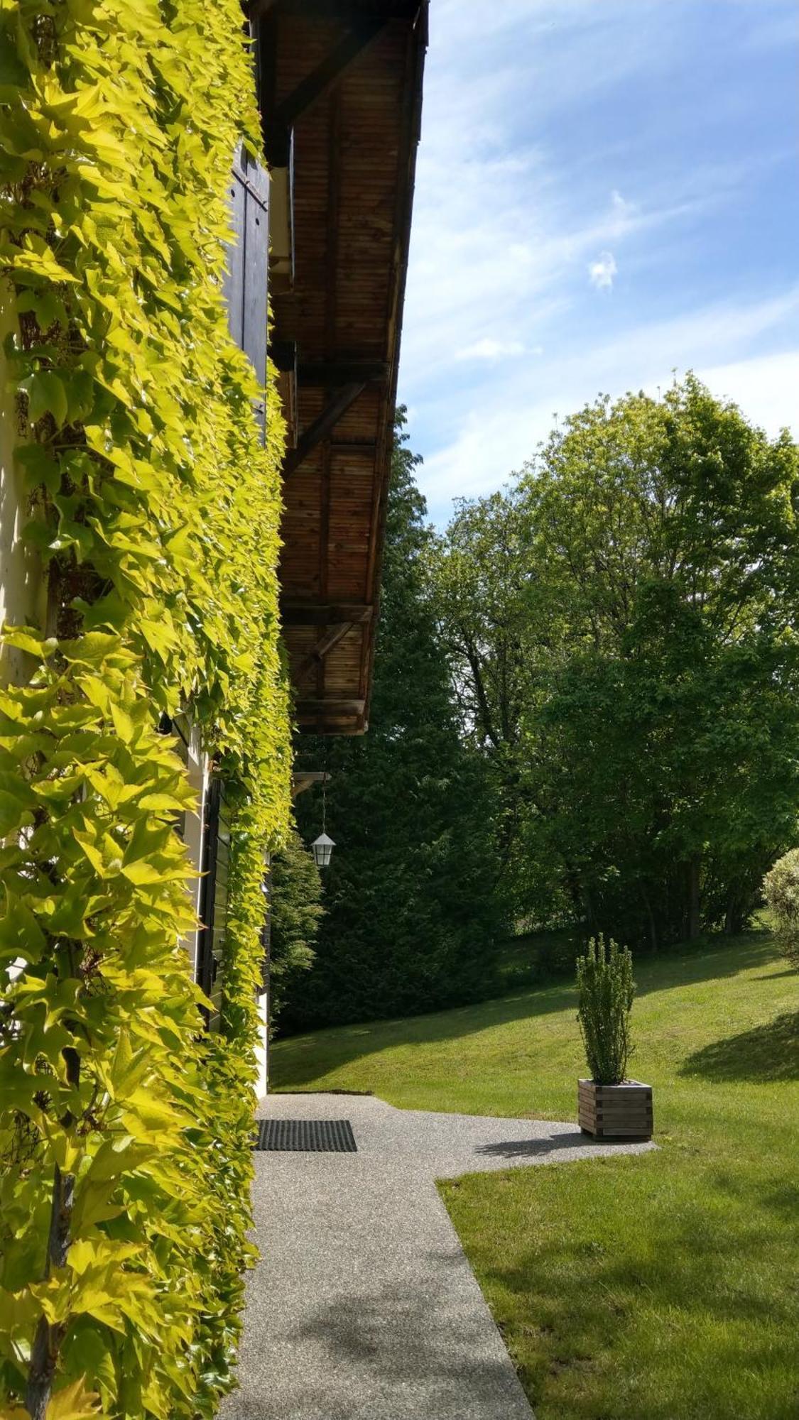 Bed and Breakfast Domaine De L'Olifant Champanges Exteriér fotografie