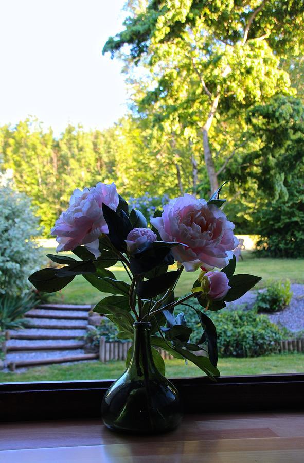 Bed and Breakfast Domaine De L'Olifant Champanges Exteriér fotografie